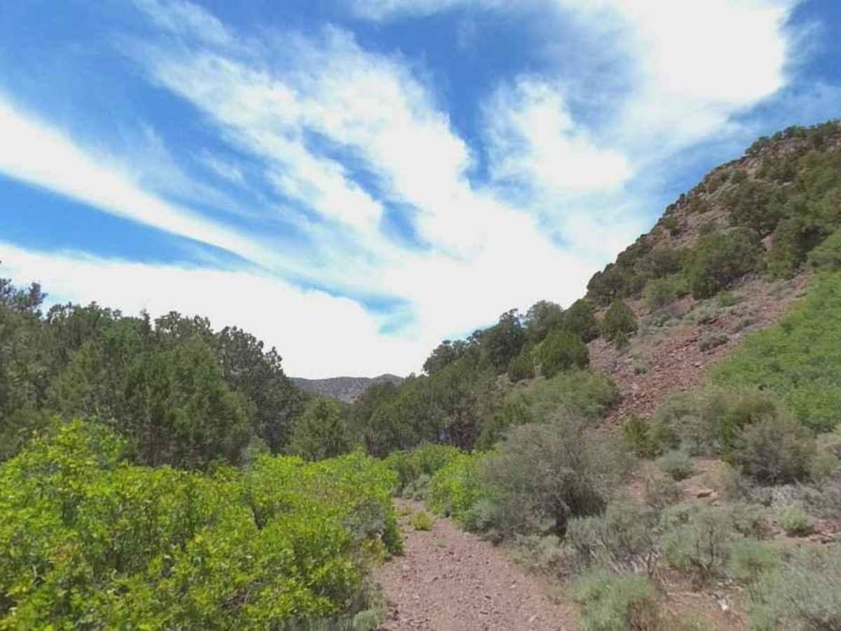 Chloride Canyon trail photo