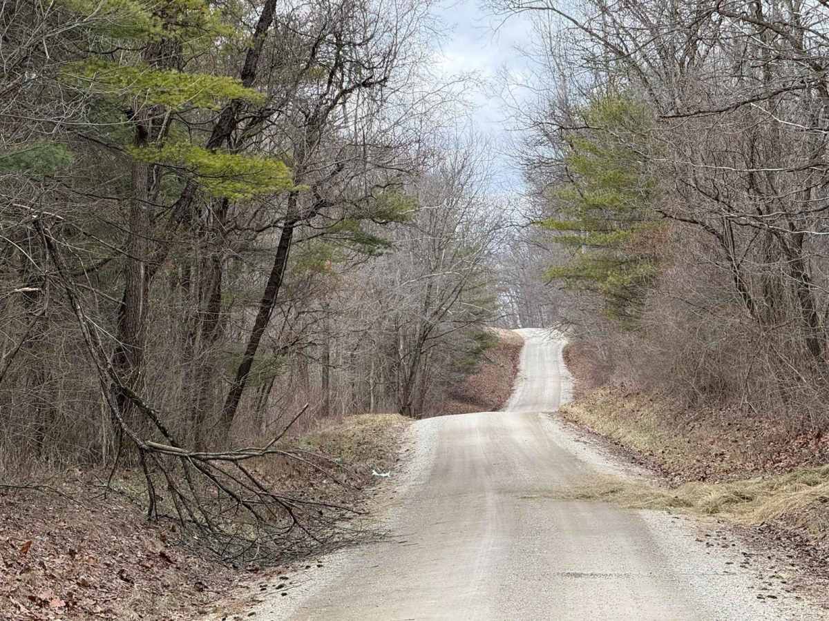 Plecher Road to Pyramid House photo 2