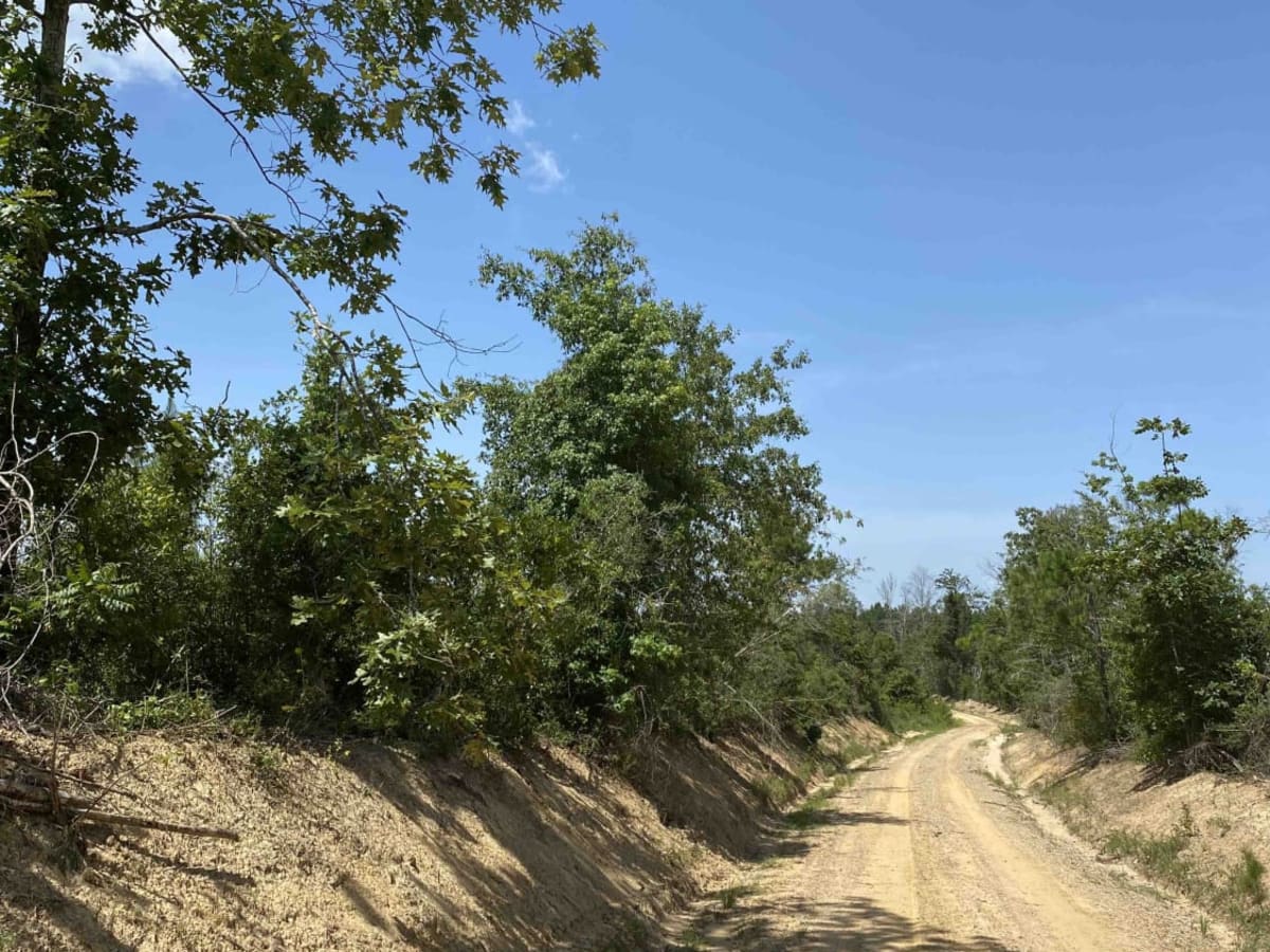 Clayton Holmes Rd photo 4