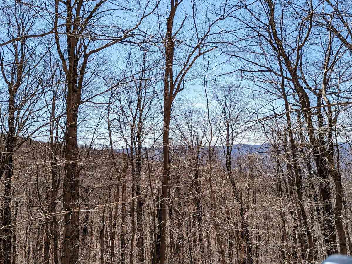 Rounds Mountain DEC Access Road photo 3