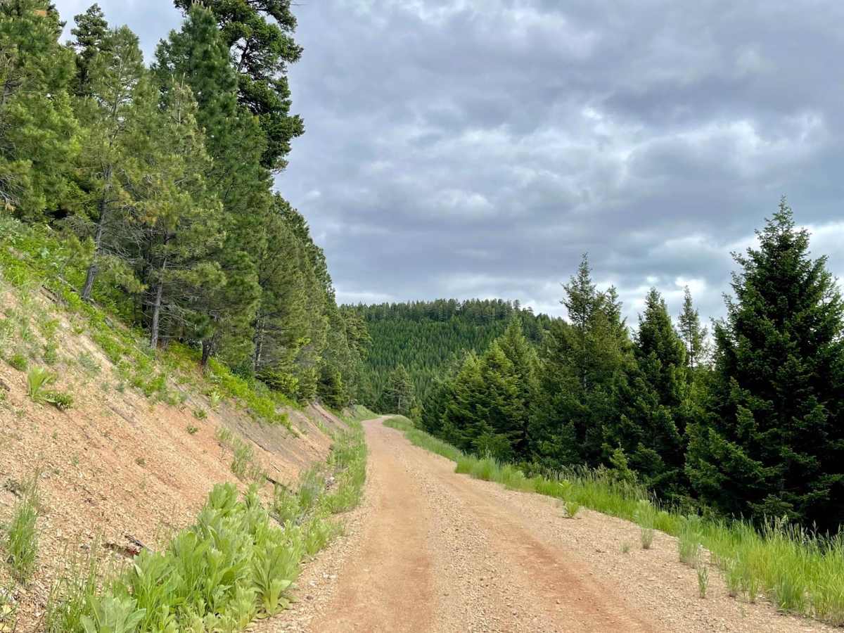 McCabe Creek trail photo