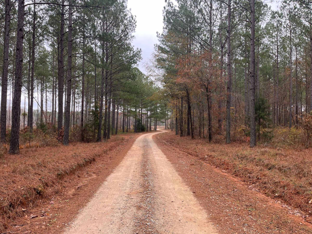 Round Up Road photo 4