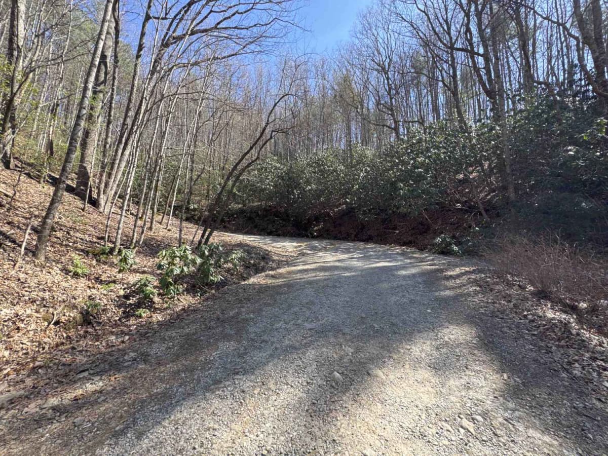Indian Grave Gap - FR 283 photo 4