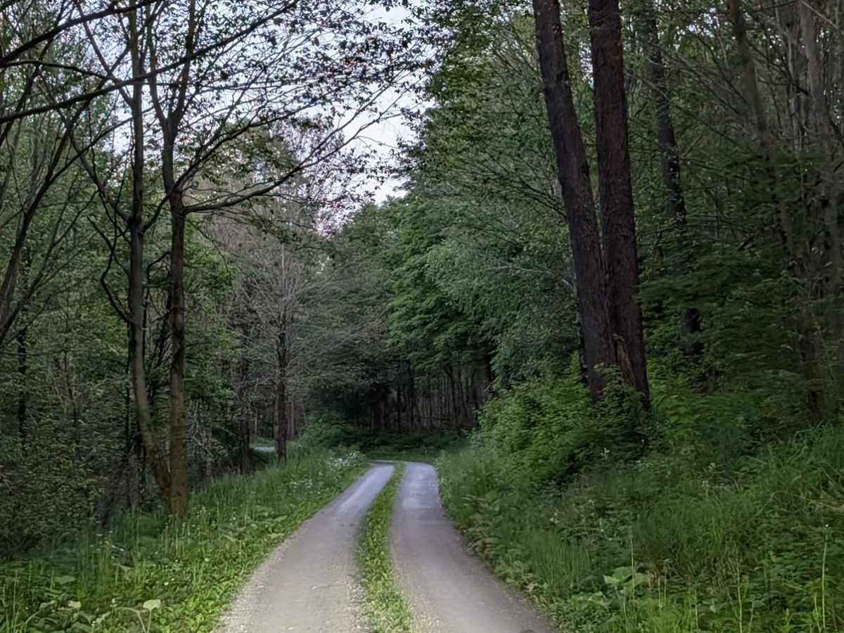 Bear Wallow Road photo 6