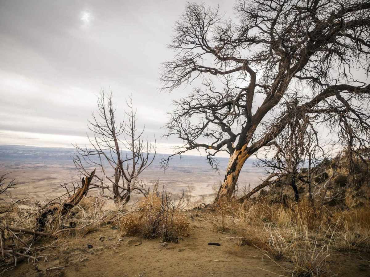 Cloud City trail photo
