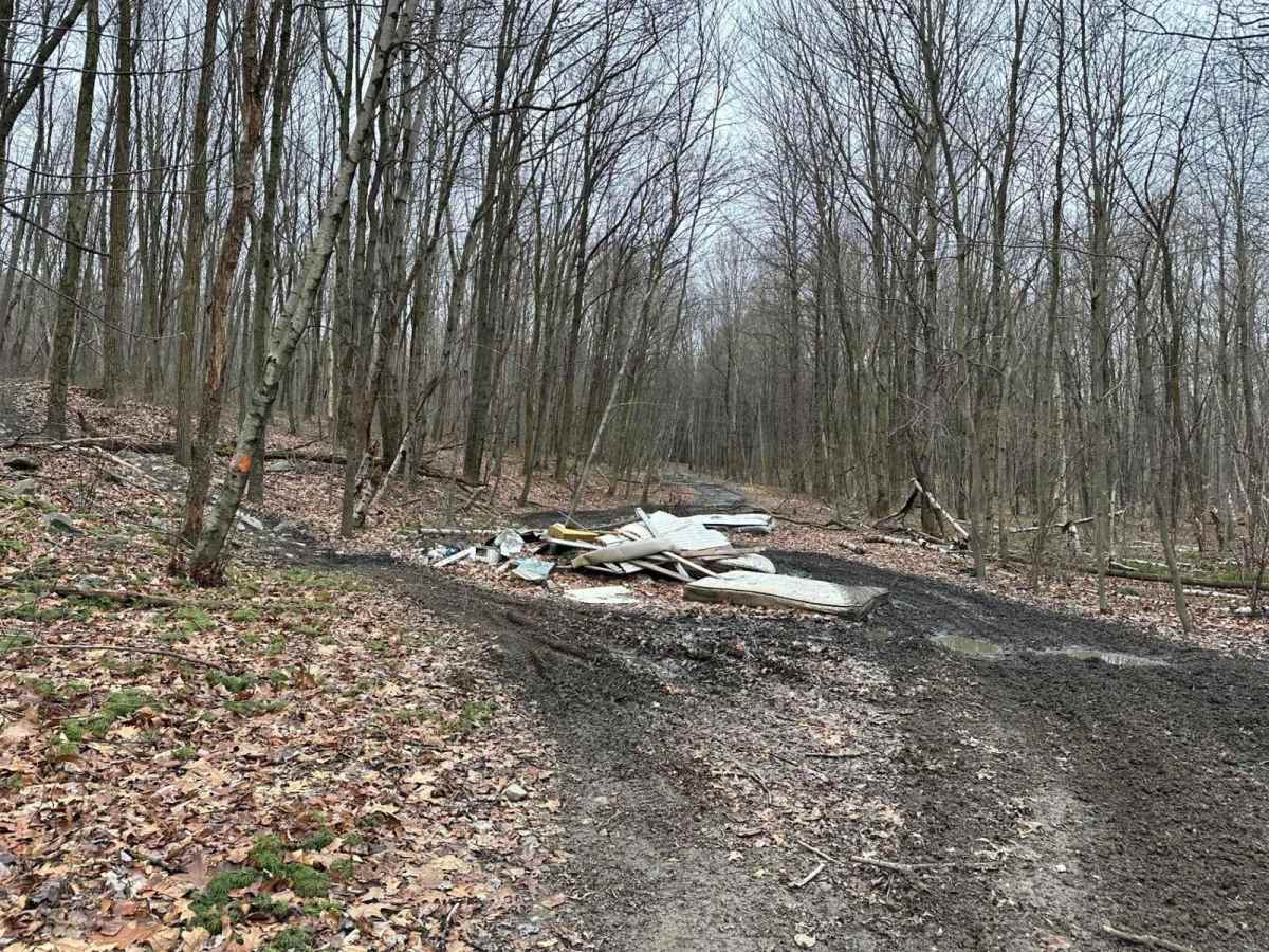 Locust Gap 24 photo 3