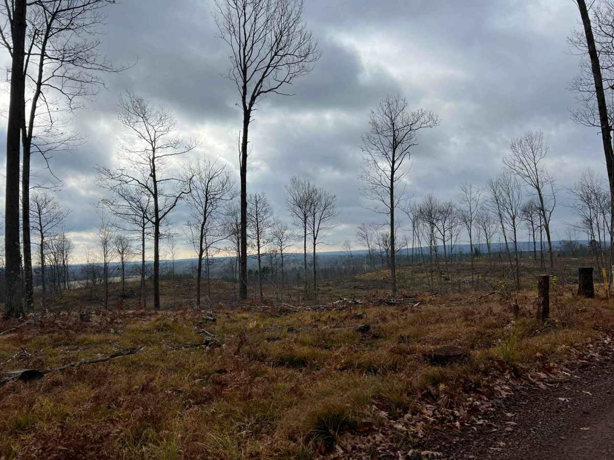 Florence County F6 Mark Peters Memorial Trail trail photo