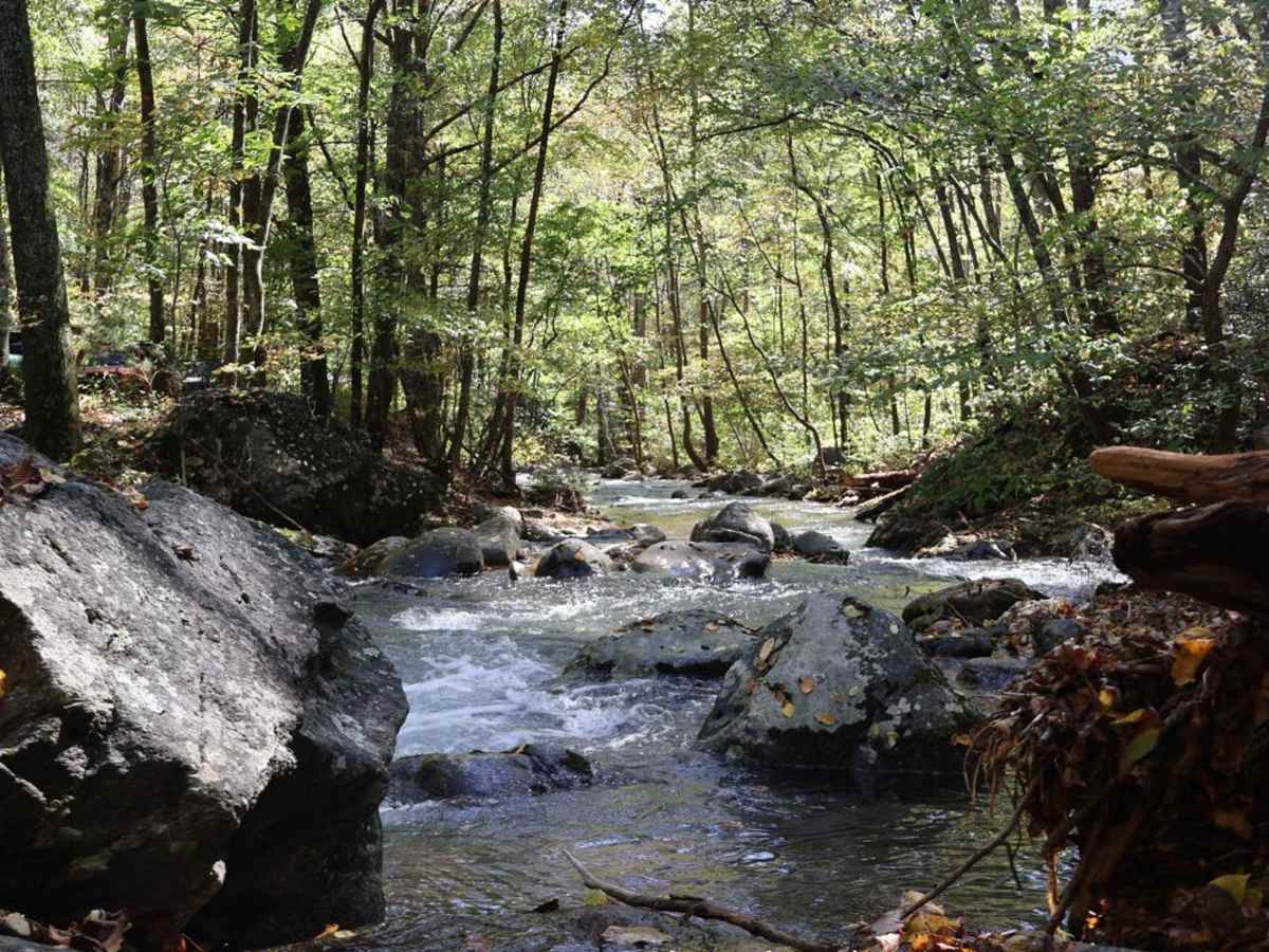 Shoe Creek photo 5