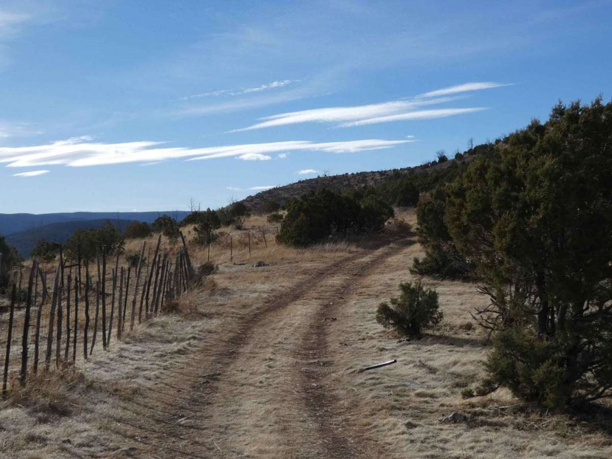 Fuel Break trail photo