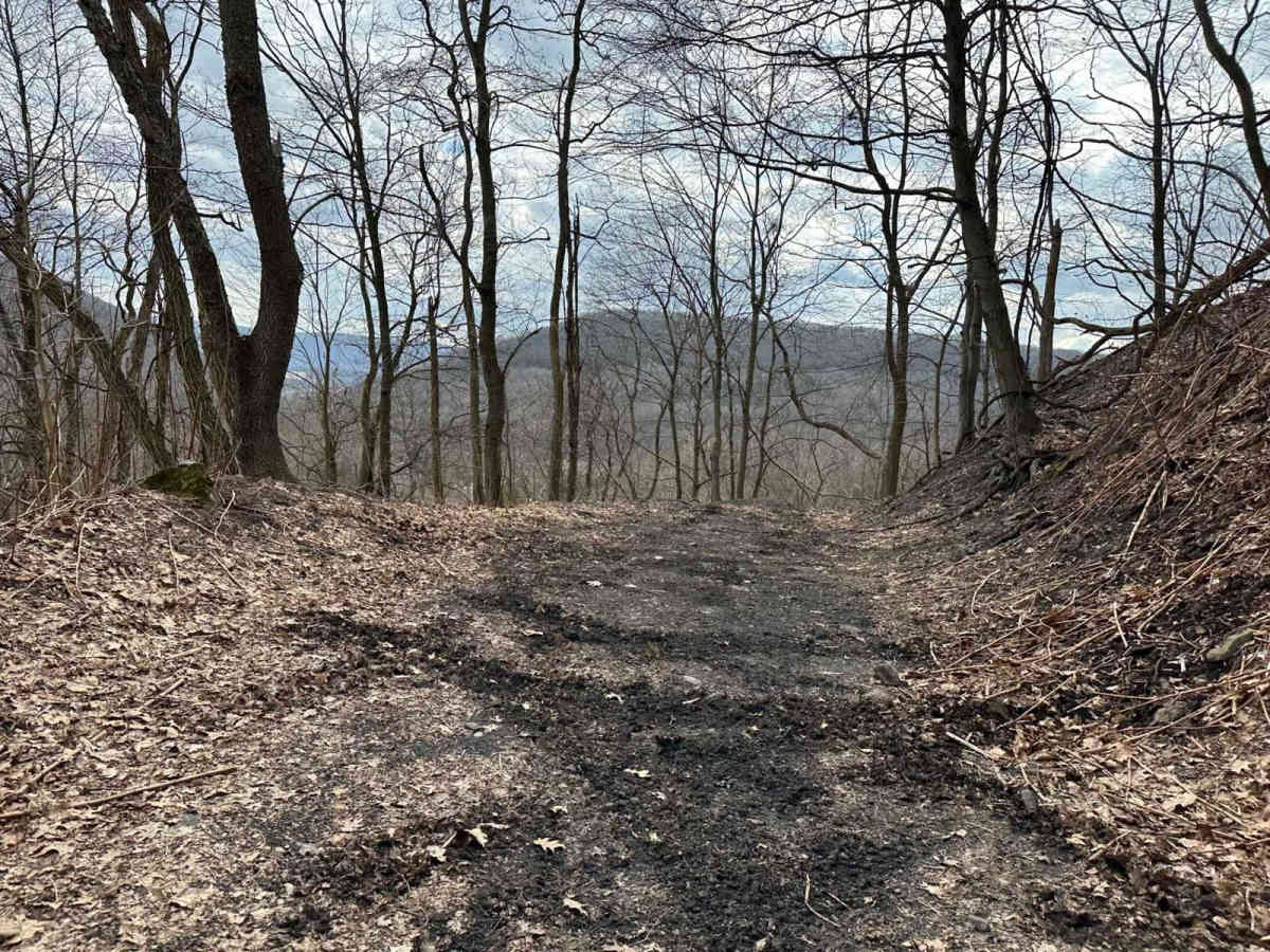 Ashland 31 photo 6