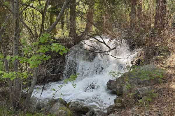 Pierce Creek