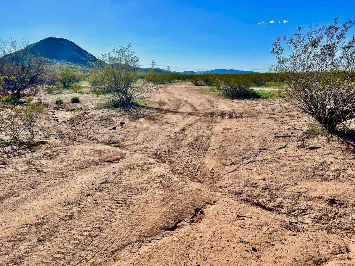 Brahma Tank Pass photo 6
