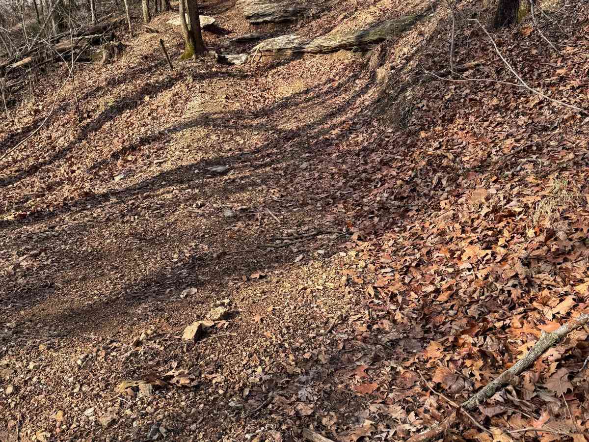 Yellow 304 trail photo