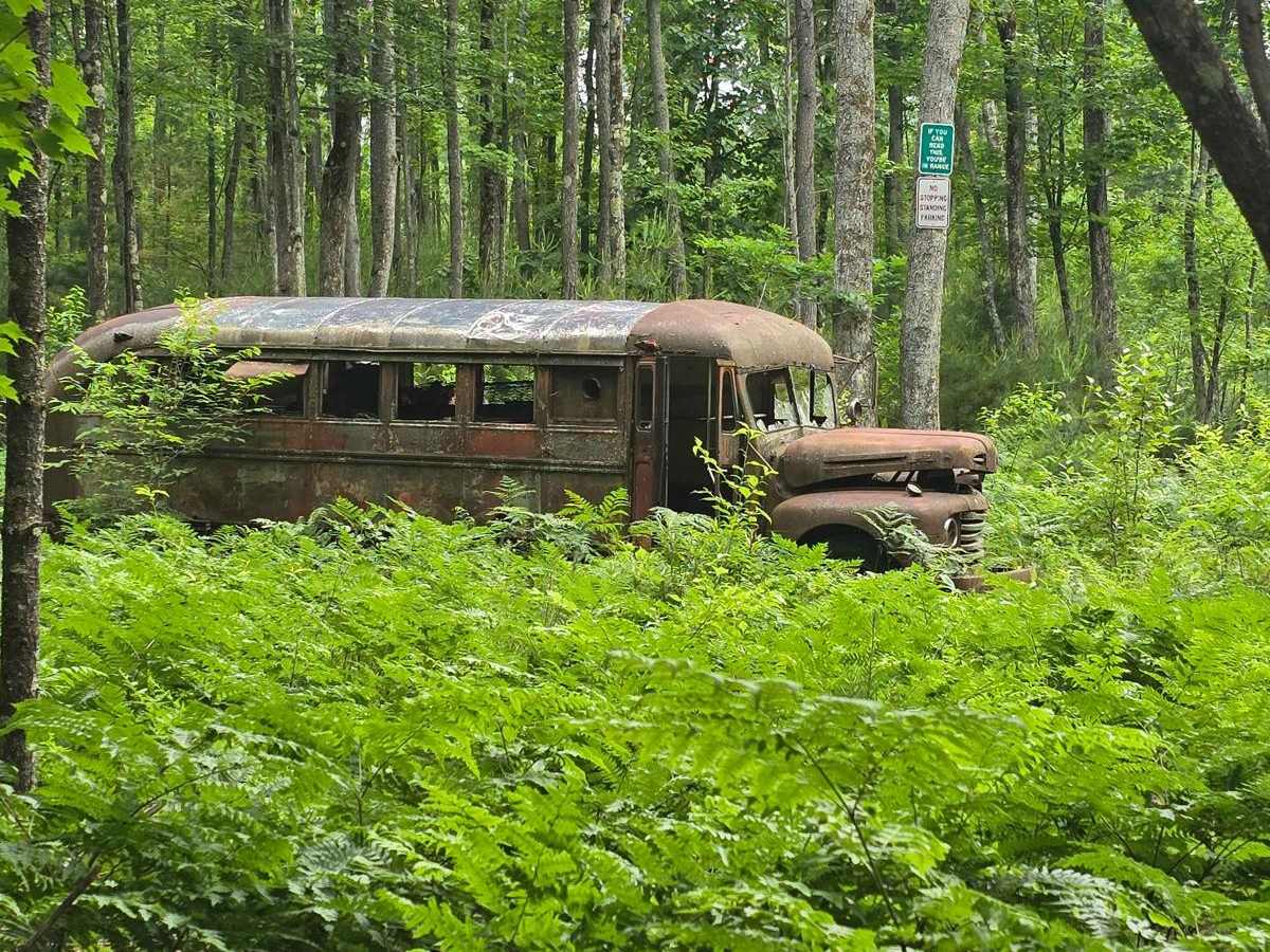 Lentz Trail trail photo