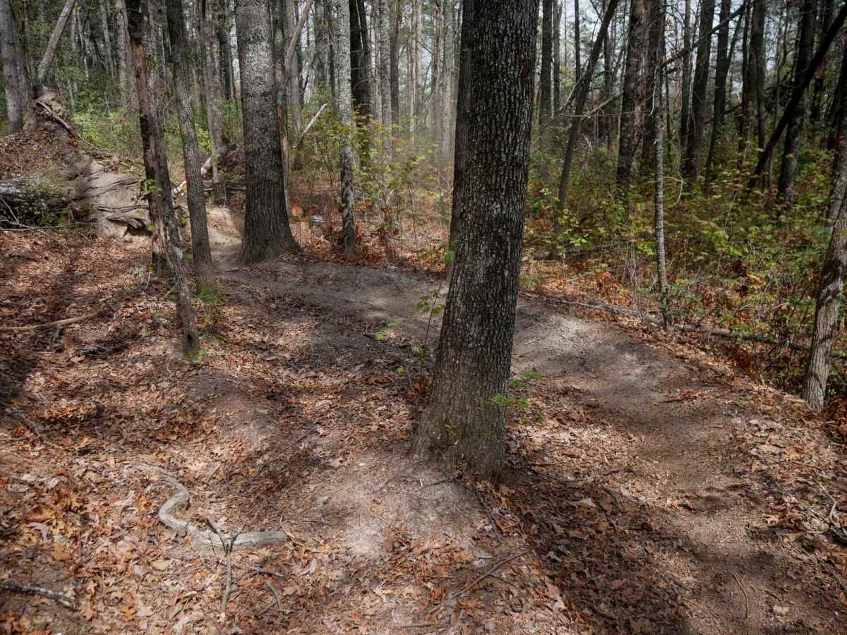 Trail 7 Richard's Bypass photo 4