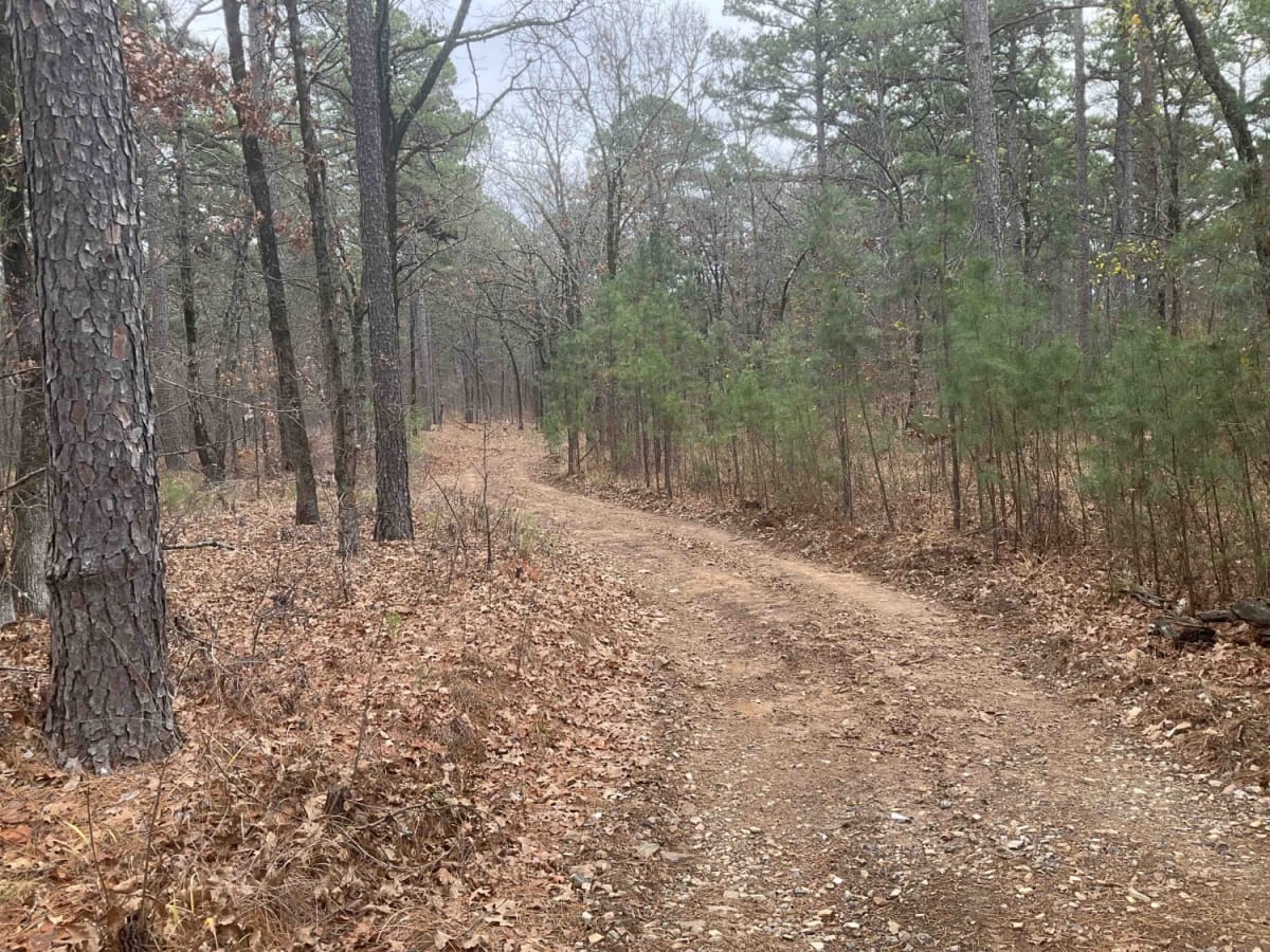 Tower Trail photo 2