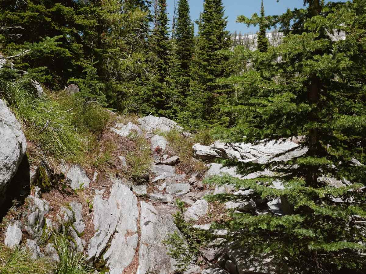 Ditch Creek trail photo
