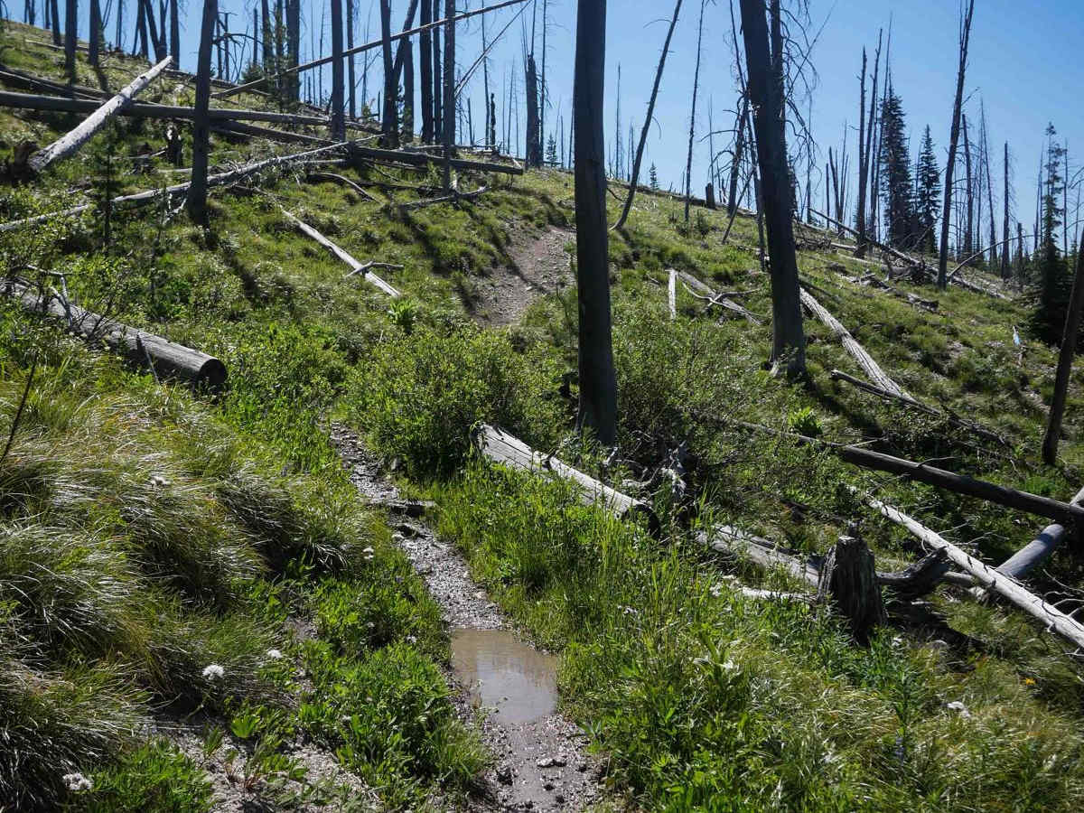 Colter Creek photo 2