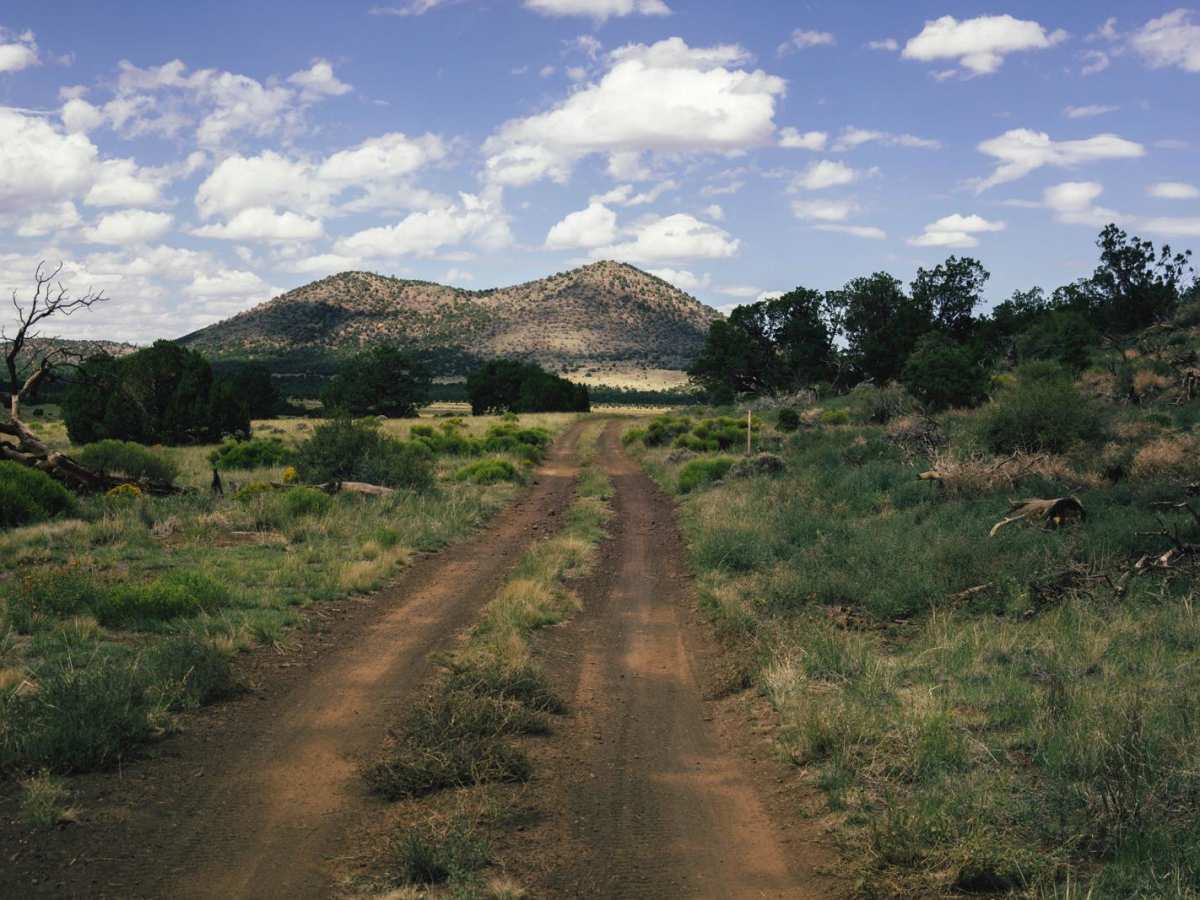 FS9121a trail photo