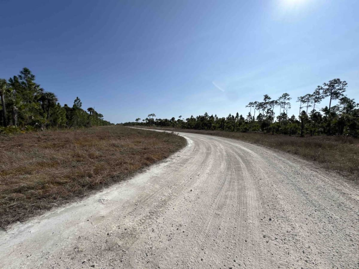 East Sabal Palm Road photo 5