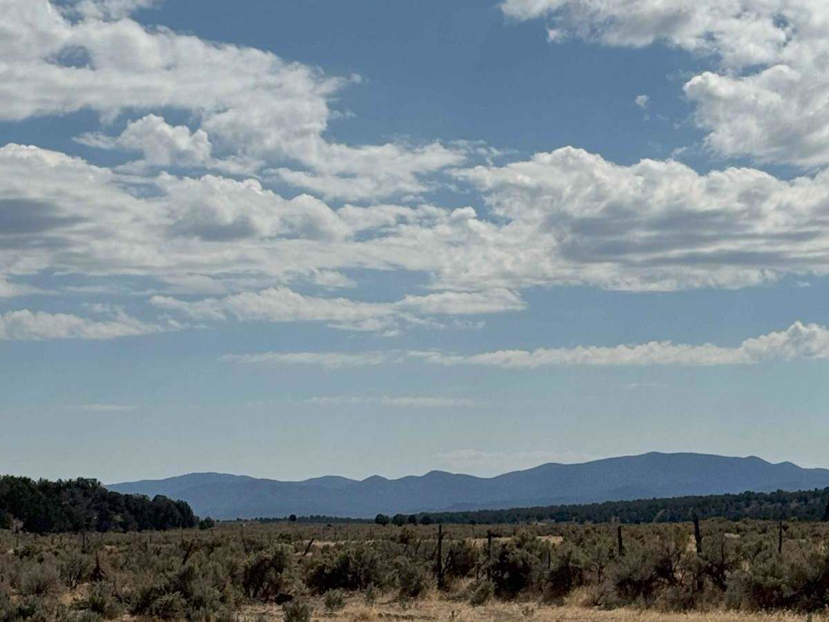 Deer Lodge Road photo 6