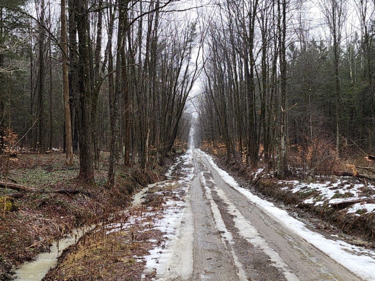 Pipeline PFAR trail photo