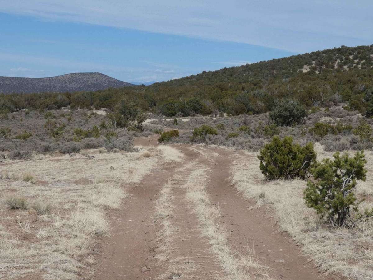Twin Hills Loop photo 2