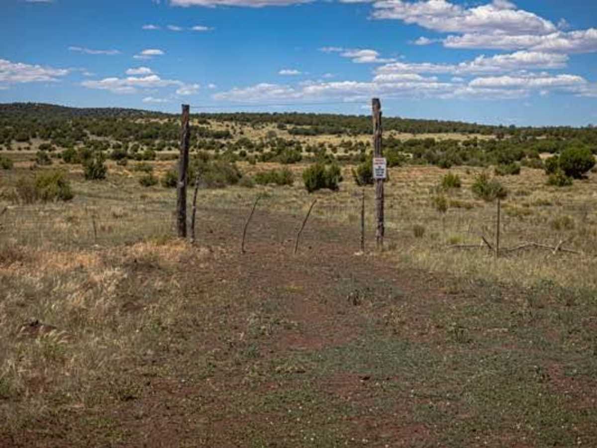 Doe Tank trail photo