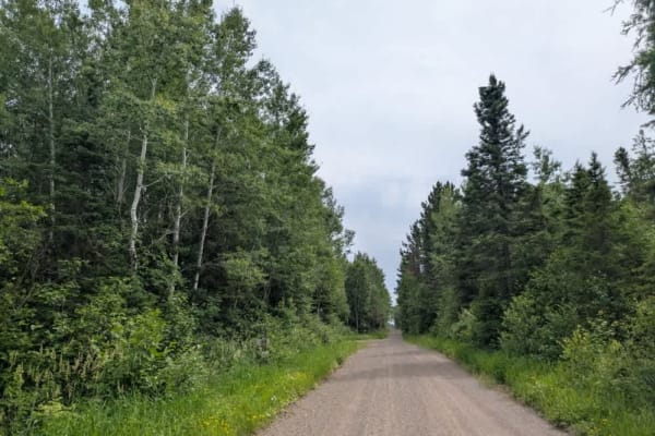 419