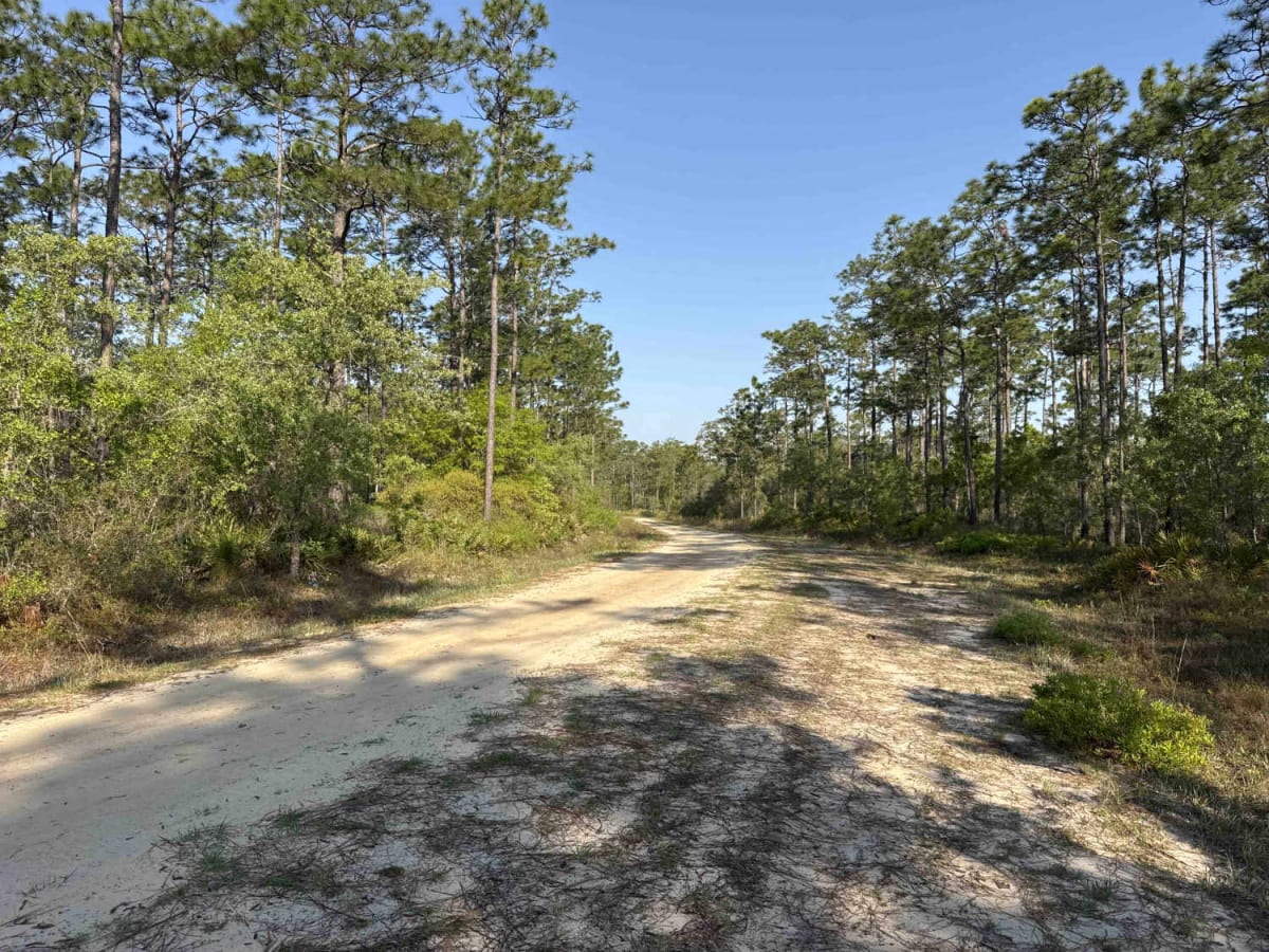 Ashmore - Apalachicola FR 321 photo 5