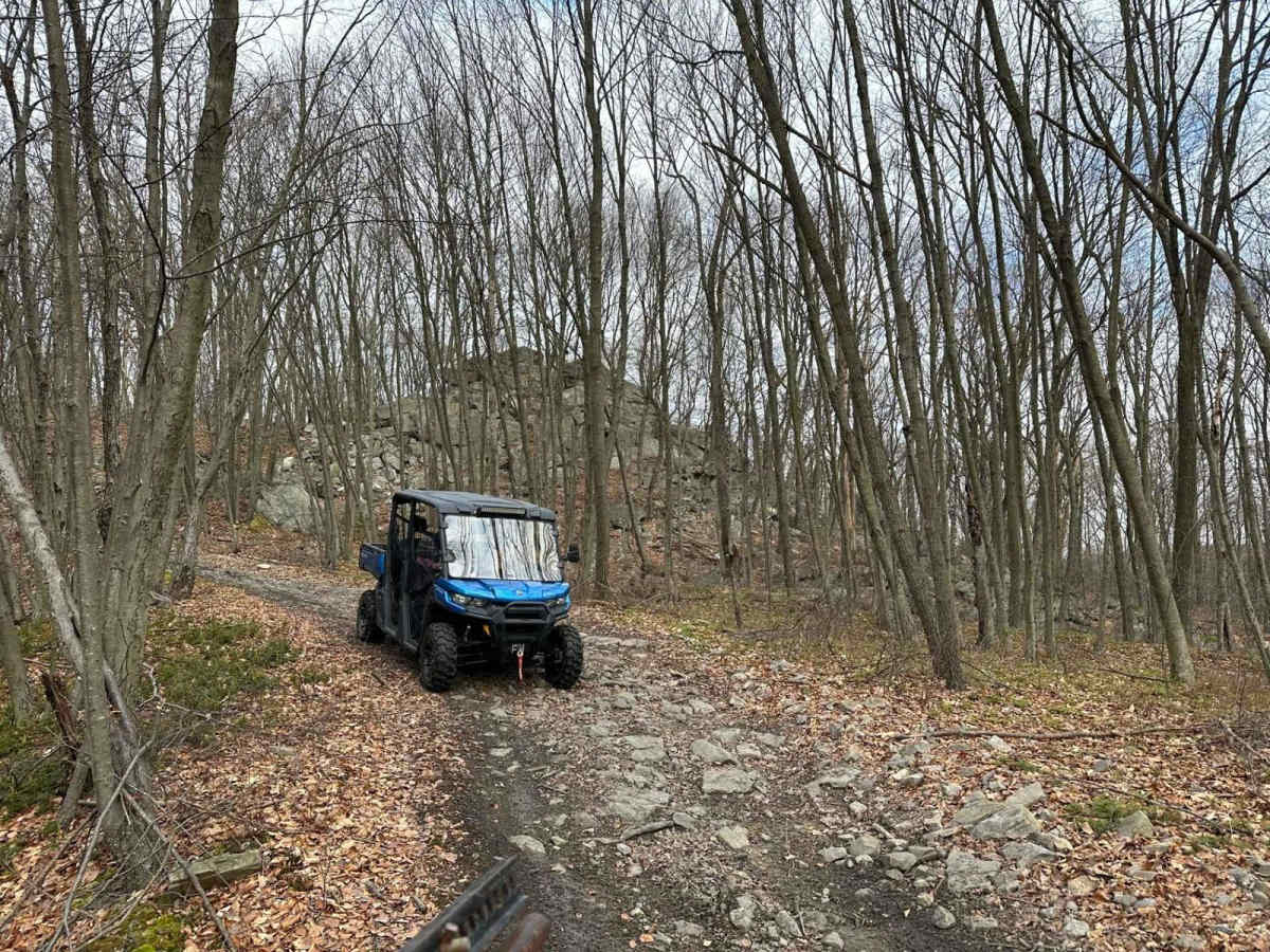 Locust Gap 79 photo 2