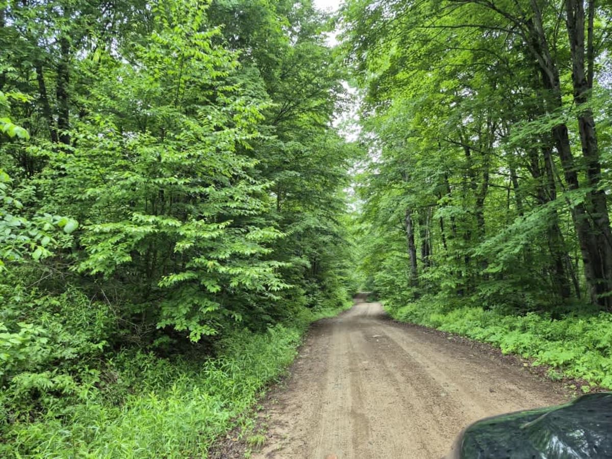 Fly Creek Road photo 3