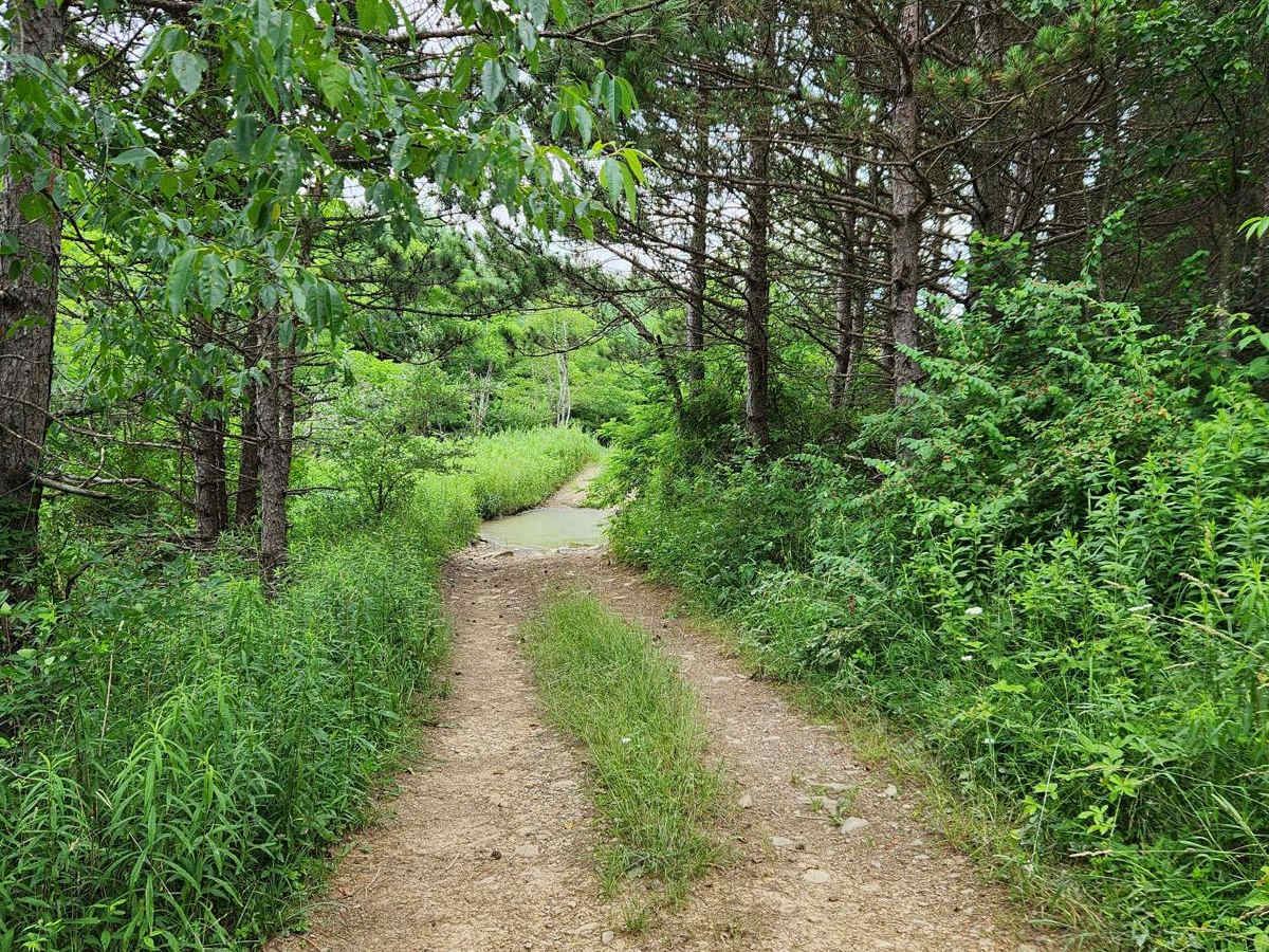 Trail 5G - Rock Run Recreation Area photo 4