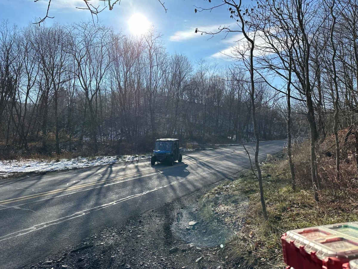 Locust Gap 9 photo 2