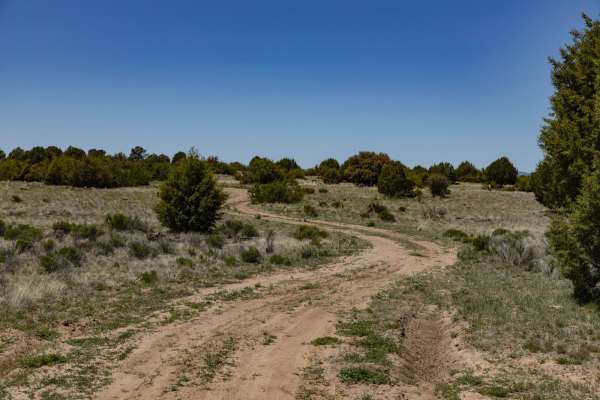 Javelina Camp