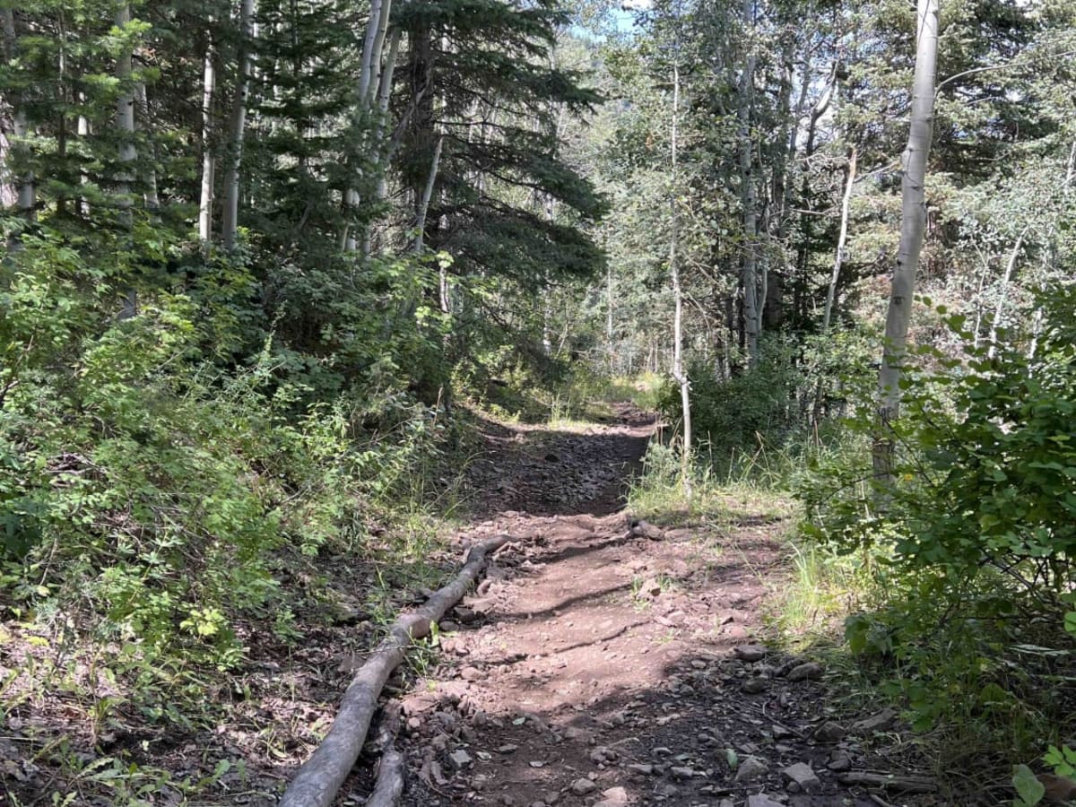 Left Fork Maple Canyon (8006) photo 4