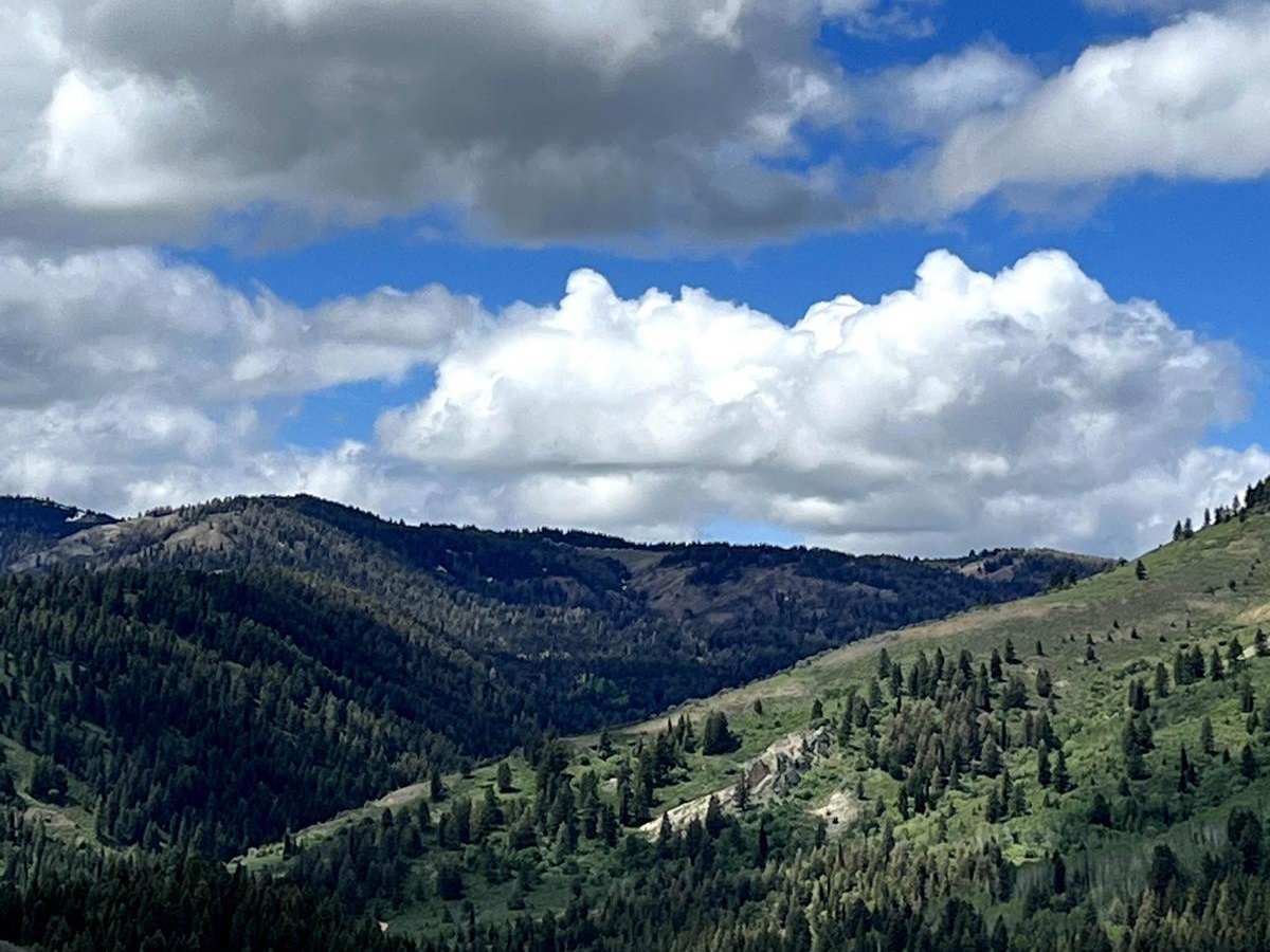 Idaho City to Horseshoe Bend Road photo 5