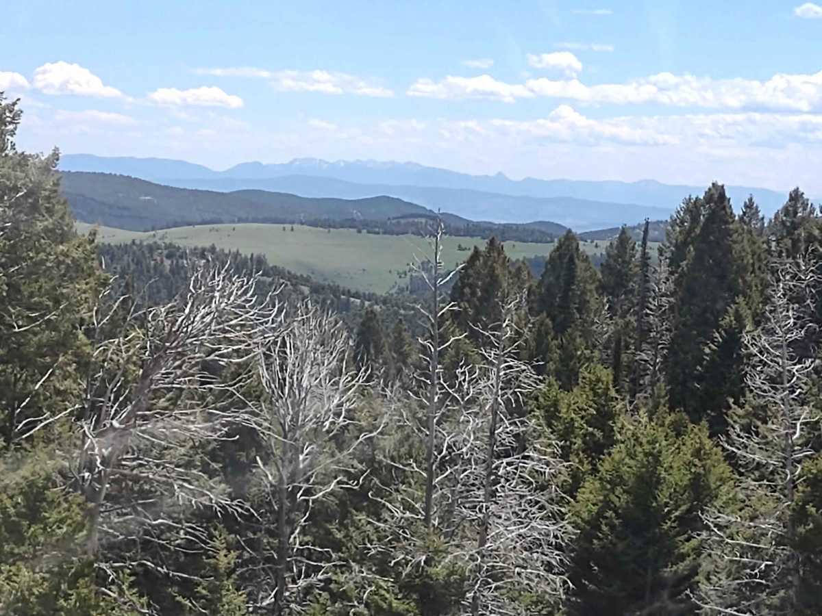 Radersburg Pass Loop photo 2