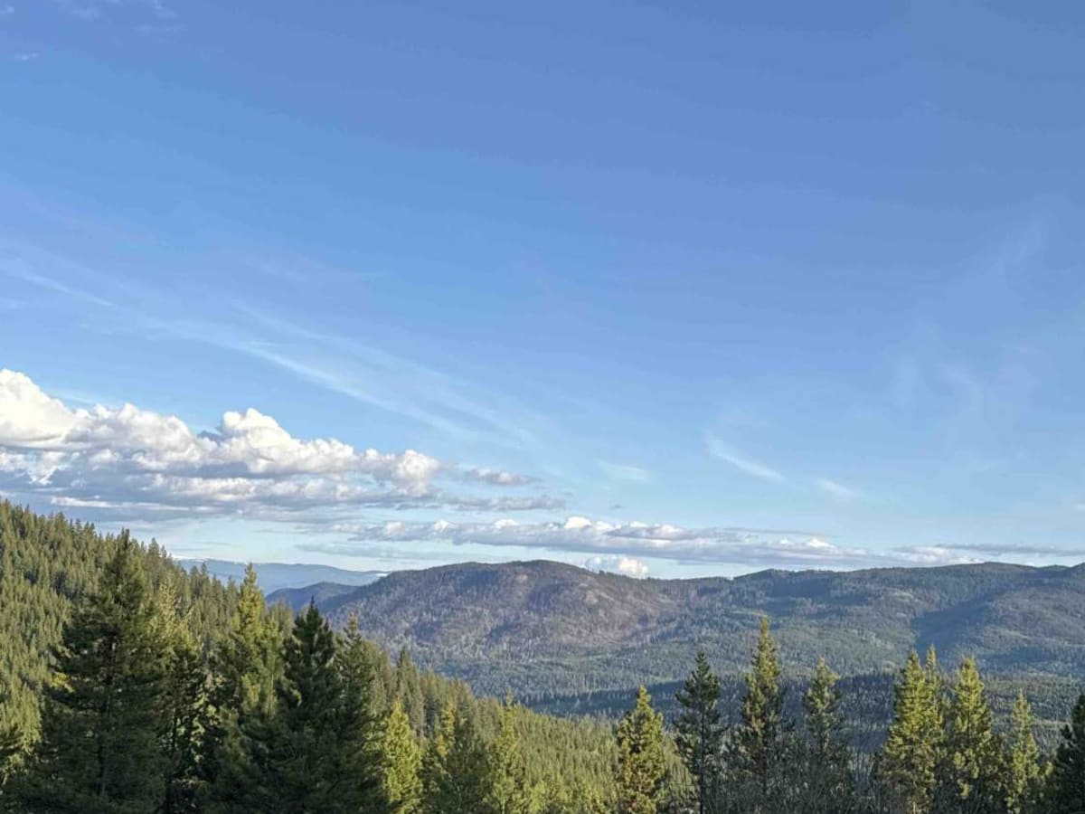 Lean To Forest Service Road photo 2