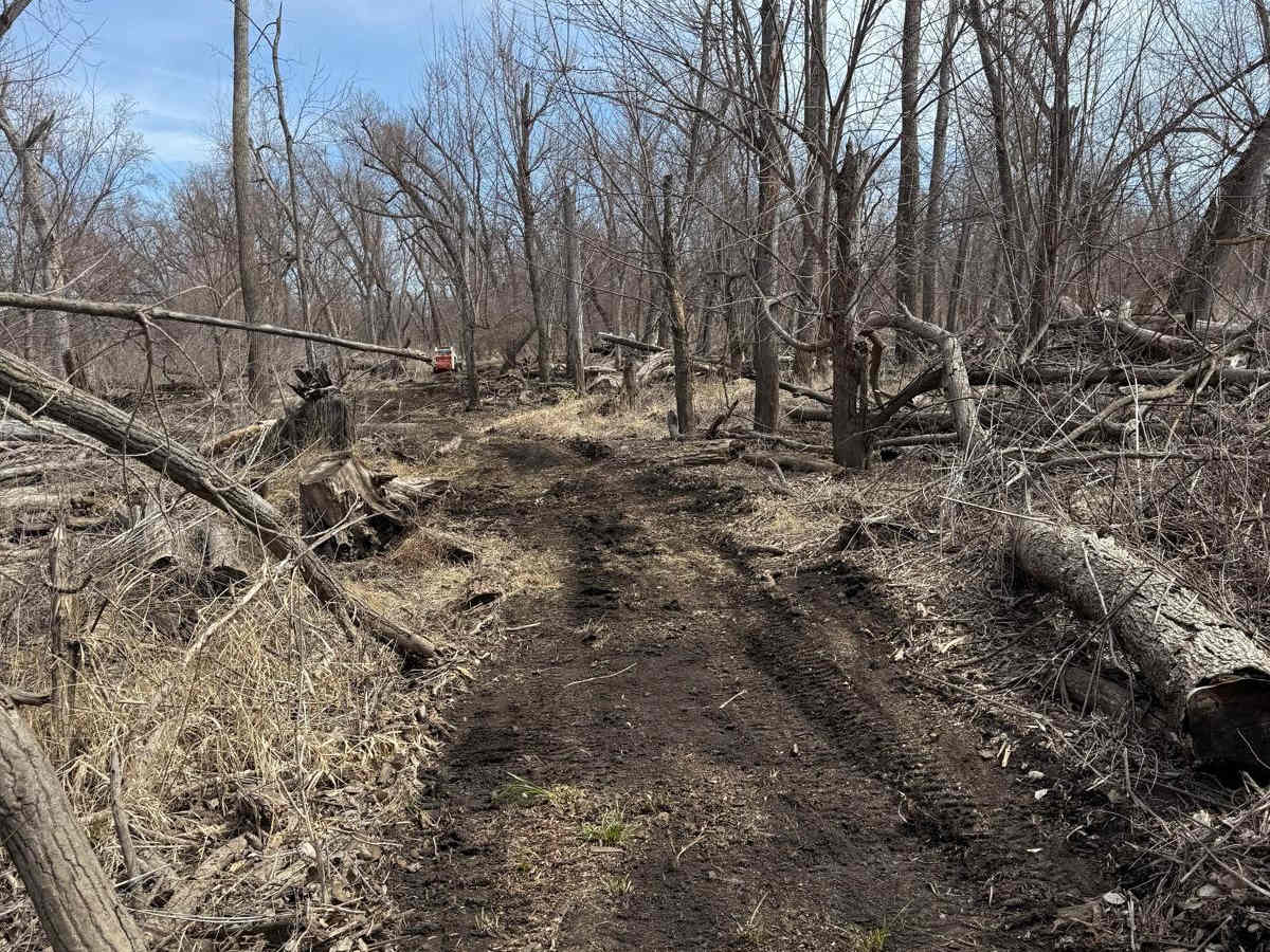 B2 trail photo