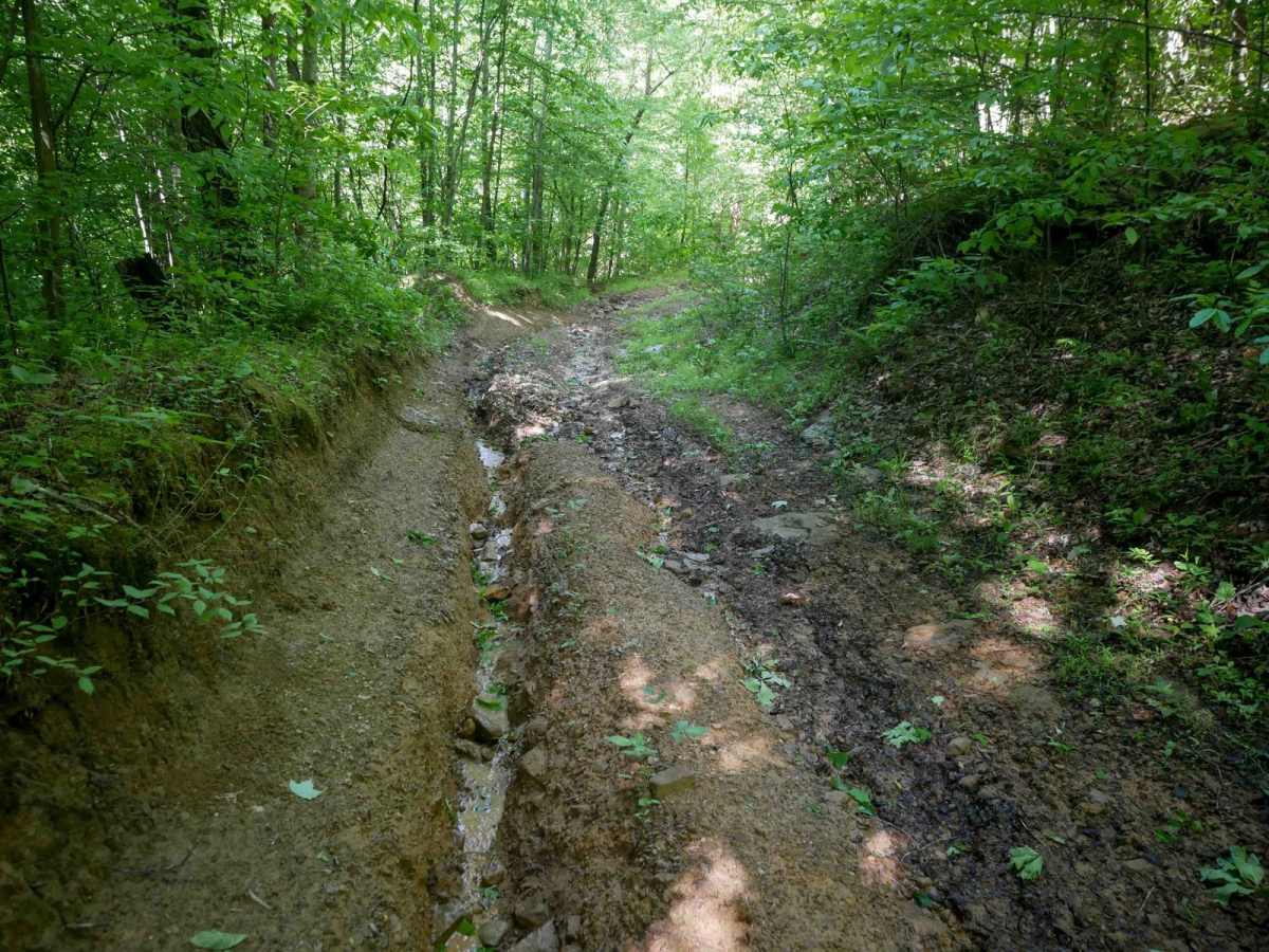 RV67 trail photo