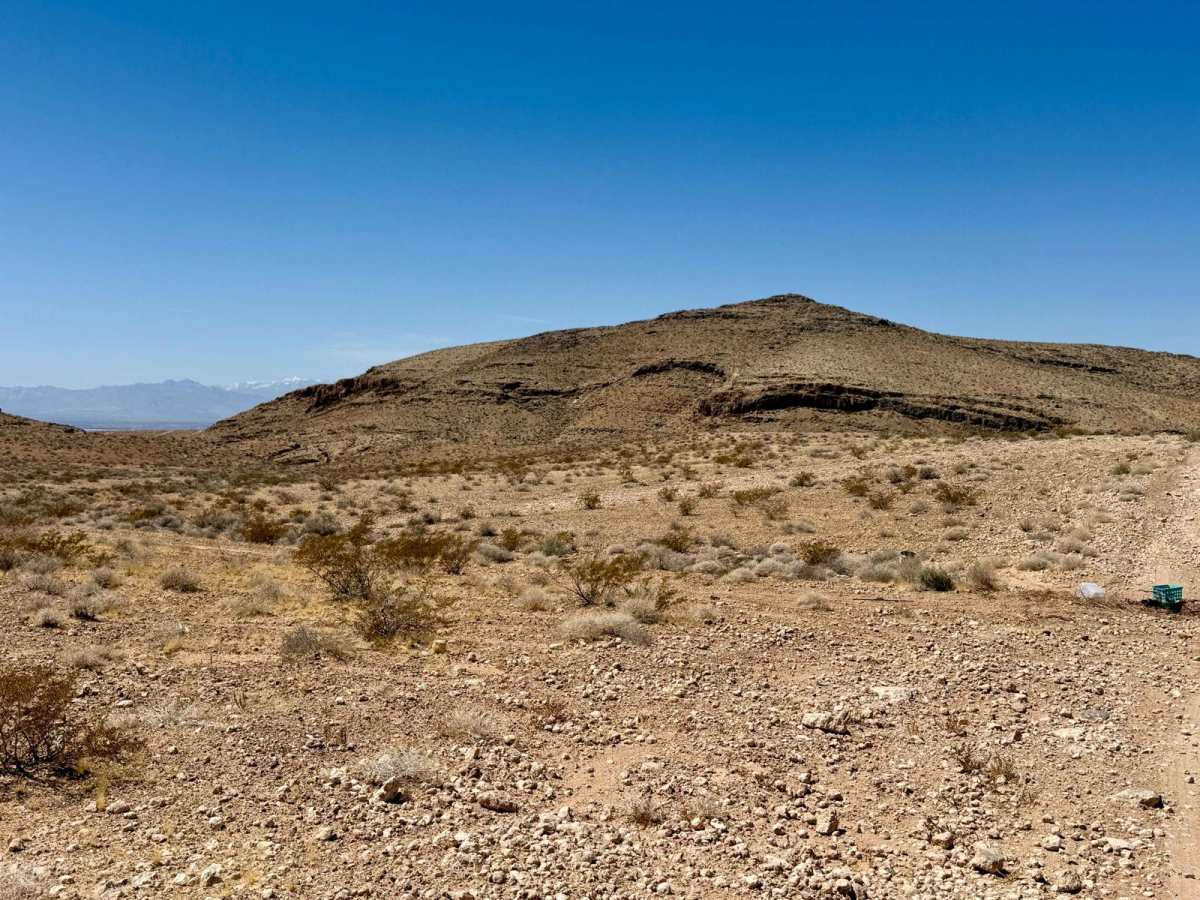 Northwest Nellis Smashed Beetle Point photo 3