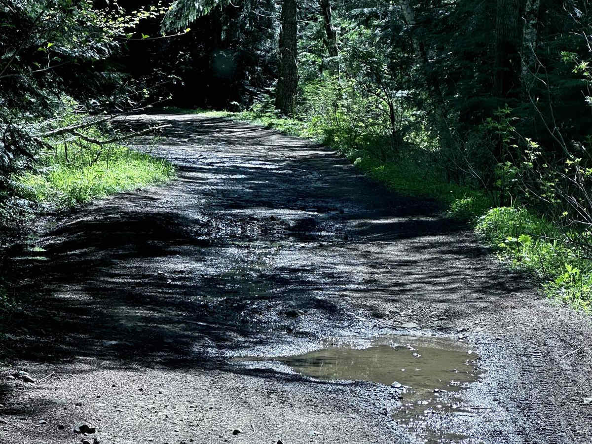 Poch Ridge Trail photo 2