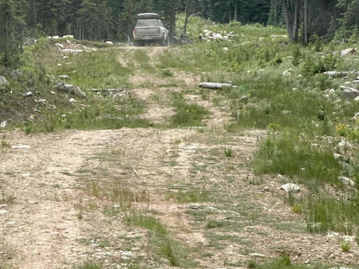 Gunner FSR Wilson Lake trail photo