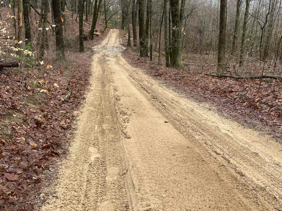 D Springs Trail (132nd Avenue) photo 4