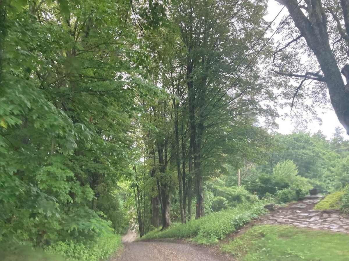 Natty's Route trail photo