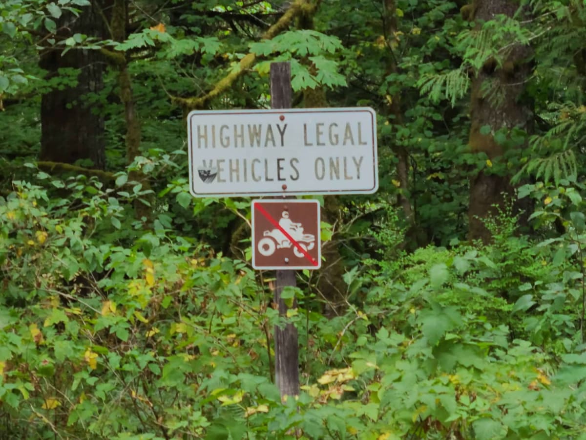 Gentle Campers Offroad Creekside Drive photo 3