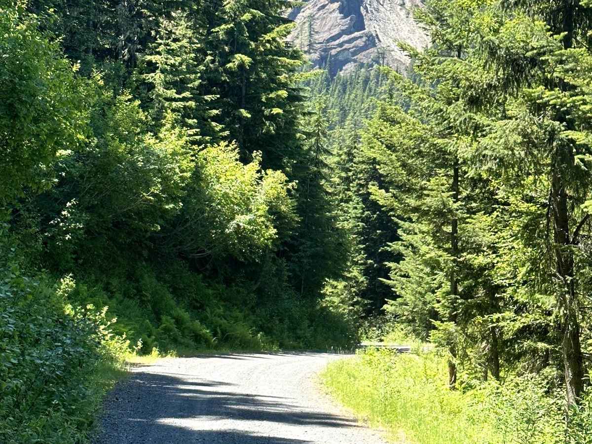 Greenhorn Creek Road photo 3