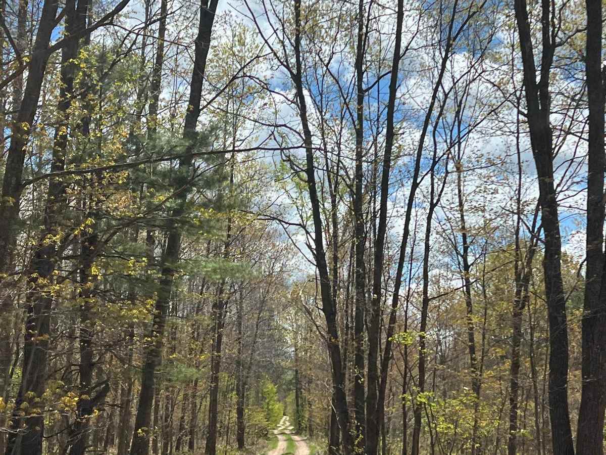S 23-1/2 Trail photo 6