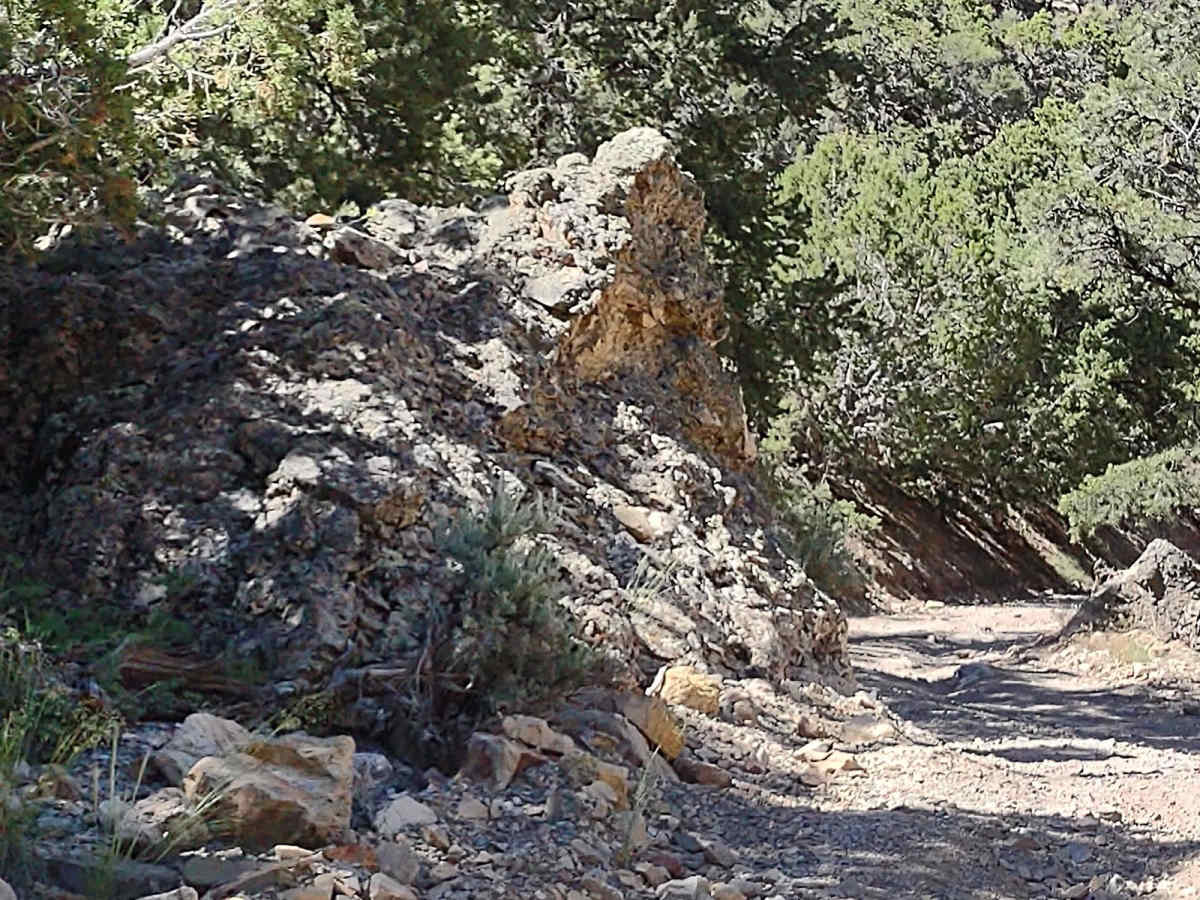 Gold Gulch to Little Pork Lake (FS# 40136) photo 4